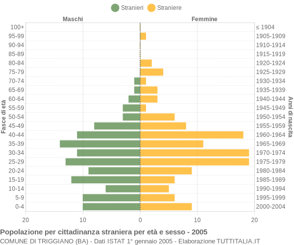 Grafico cittadini stranieri - Triggiano 2005
