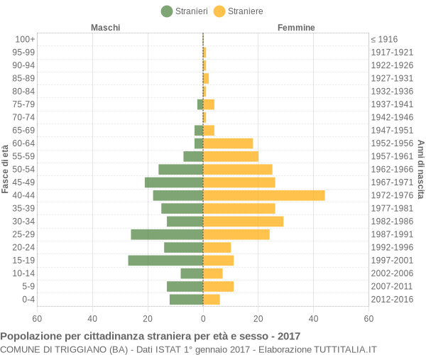 Grafico cittadini stranieri - Triggiano 2017