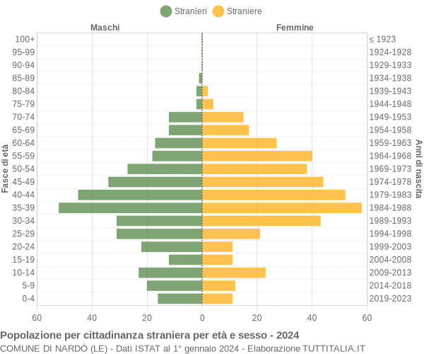 Grafico cittadini stranieri - Nardò 2024