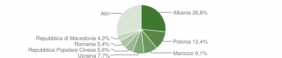 Grafico cittadinanza stranieri - Lucera 2006