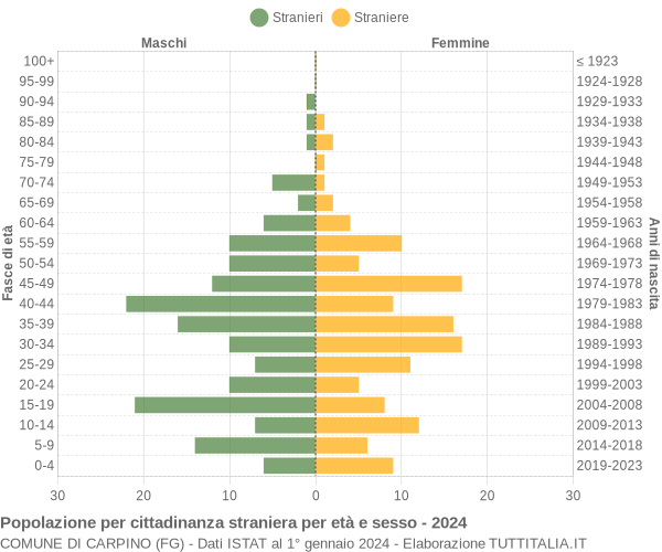 Grafico cittadini stranieri - Carpino 2024