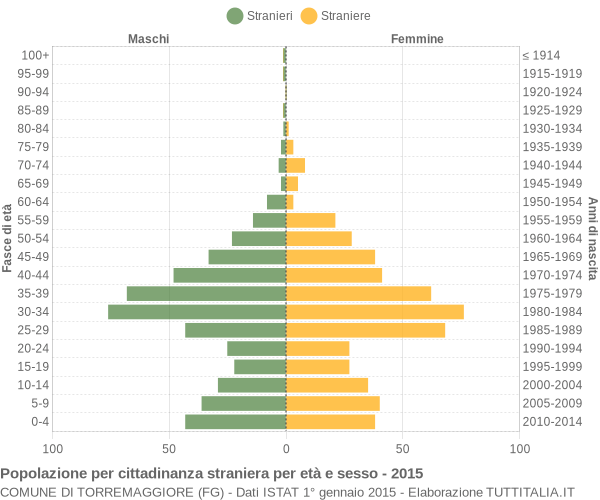 Grafico cittadini stranieri - Torremaggiore 2015