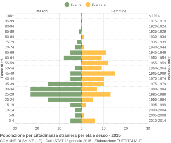 Grafico cittadini stranieri - Salve 2015