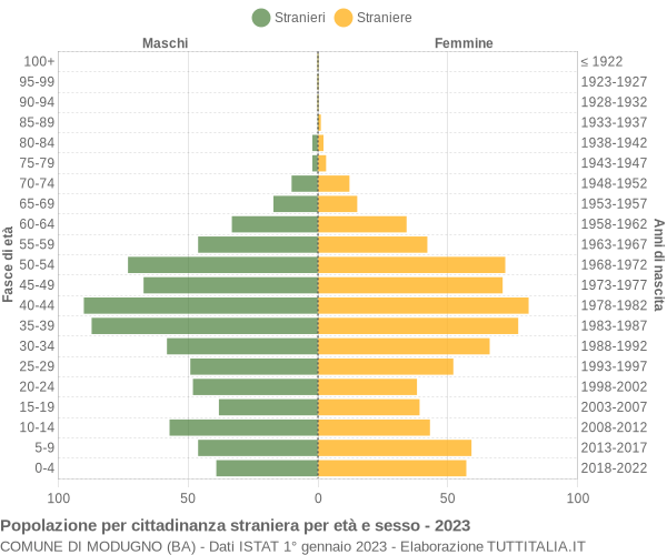 Grafico cittadini stranieri - Modugno 2023