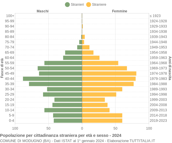 Grafico cittadini stranieri - Modugno 2024