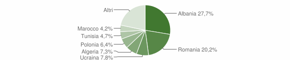 Grafico cittadinanza stranieri - Bisceglie 2008