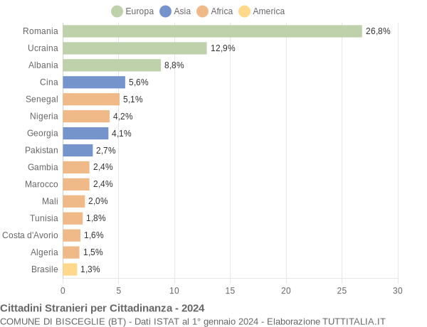 Grafico cittadinanza stranieri - Bisceglie 2024