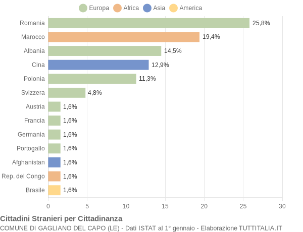 Grafico cittadinanza stranieri - Gagliano del Capo 2011