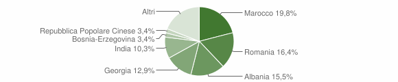 Grafico cittadinanza stranieri - Grumo Appula 2011
