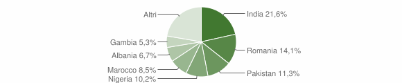 Grafico cittadinanza stranieri - Grumo Appula 2016
