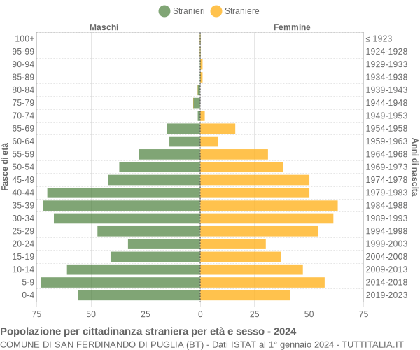 Grafico cittadini stranieri - San Ferdinando di Puglia 2024