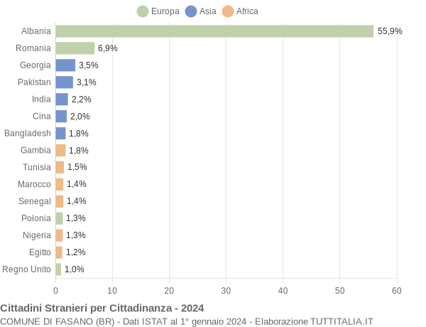 Grafico cittadinanza stranieri - Fasano 2024