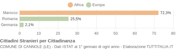 Grafico cittadinanza stranieri - Cannole 2013