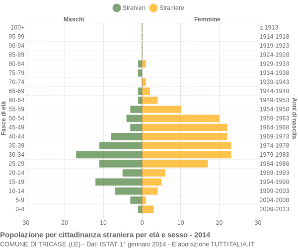 Grafico cittadini stranieri - Tricase 2014