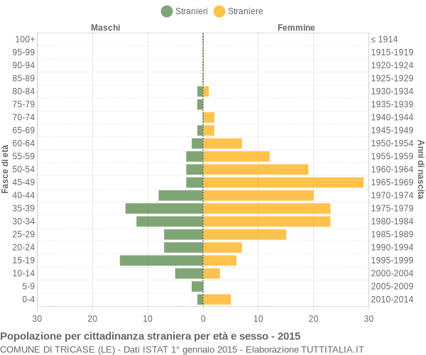 Grafico cittadini stranieri - Tricase 2015