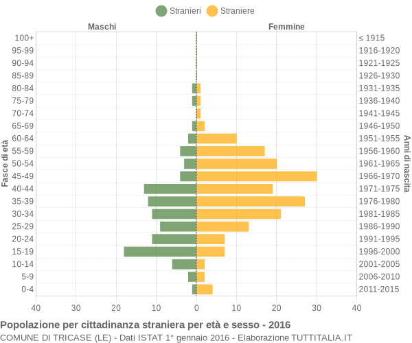 Grafico cittadini stranieri - Tricase 2016