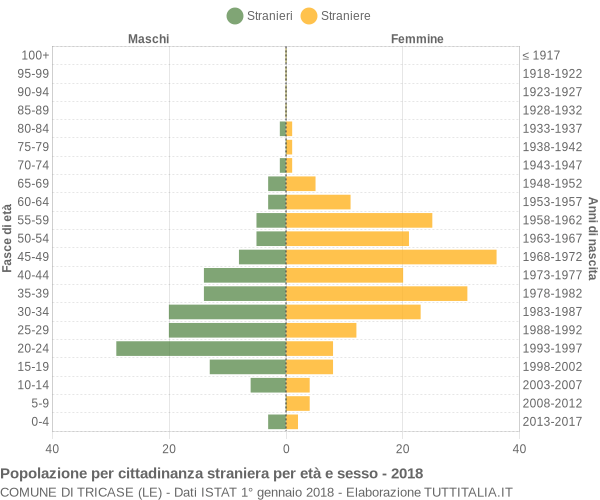 Grafico cittadini stranieri - Tricase 2018