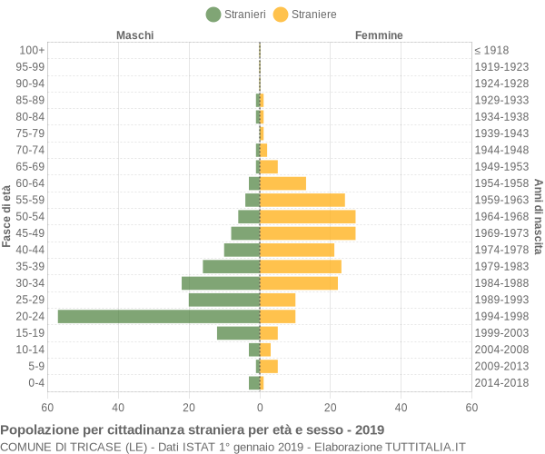 Grafico cittadini stranieri - Tricase 2019