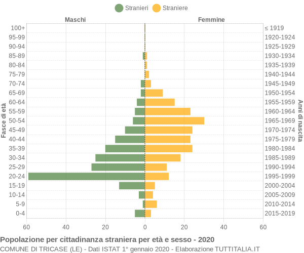 Grafico cittadini stranieri - Tricase 2020