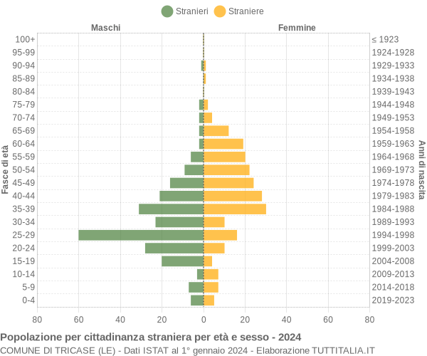 Grafico cittadini stranieri - Tricase 2024