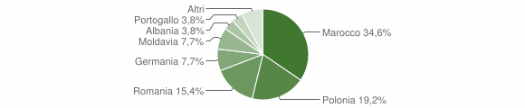 Grafico cittadinanza stranieri - Patù 2013