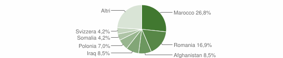 Grafico cittadinanza stranieri - Patù 2018