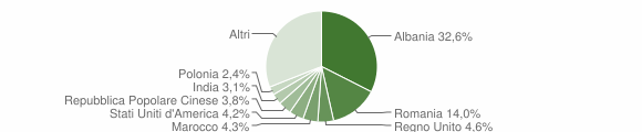 Grafico cittadinanza stranieri - Brindisi 2010