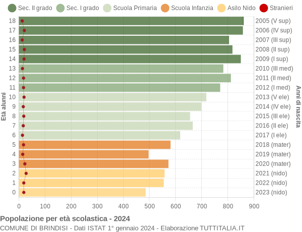 Grafico Popolazione in età scolastica - Brindisi 2024