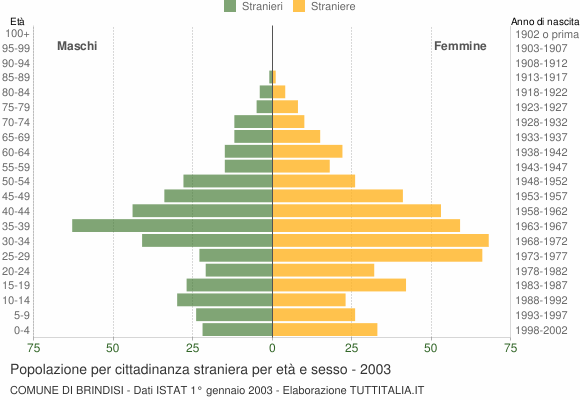 Grafico cittadini stranieri - Brindisi 2003