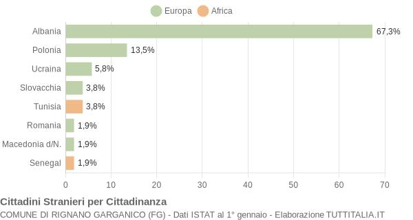 Grafico cittadinanza stranieri - Rignano Garganico 2004