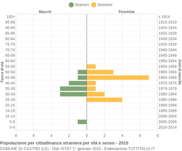 Grafico cittadini stranieri - Castro 2015