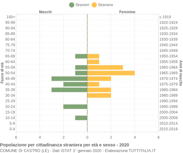 Grafico cittadini stranieri - Castro 2020