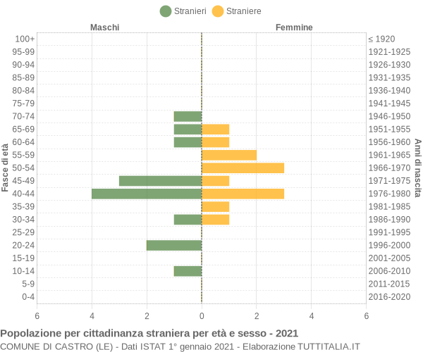 Grafico cittadini stranieri - Castro 2021