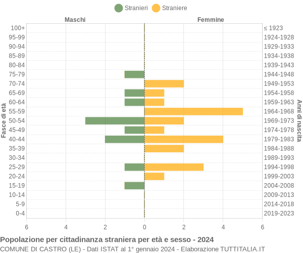 Grafico cittadini stranieri - Castro 2024