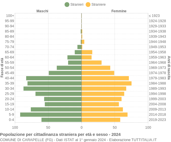 Grafico cittadini stranieri - Carapelle 2024