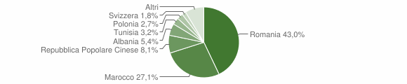 Grafico cittadinanza stranieri - Matino 2010