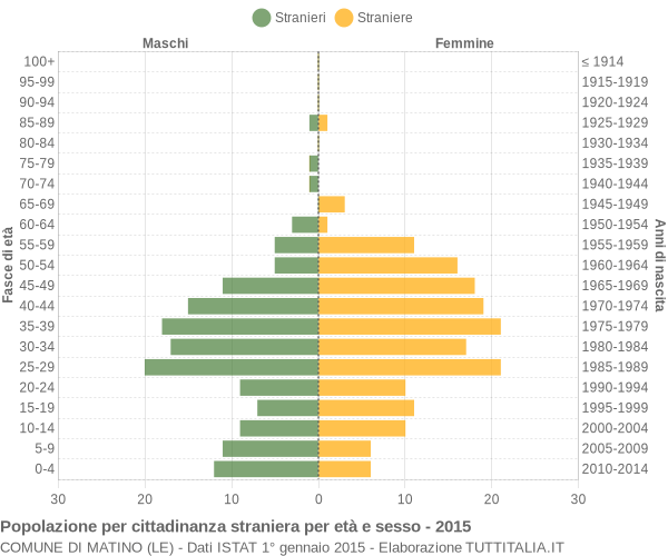 Grafico cittadini stranieri - Matino 2015