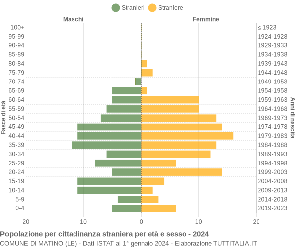 Grafico cittadini stranieri - Matino 2024