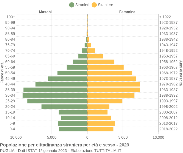 Grafico cittadini stranieri - 2023