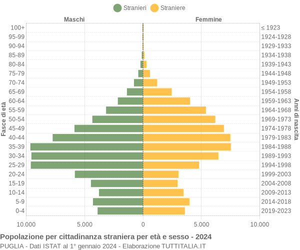 Grafico cittadini stranieri - 2024