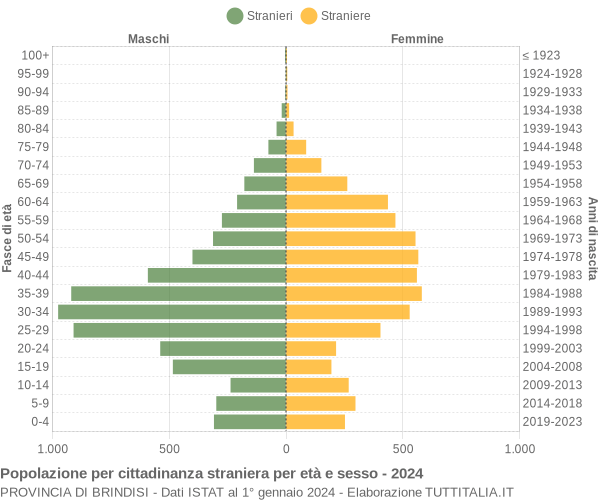 Grafico cittadini stranieri - 2024