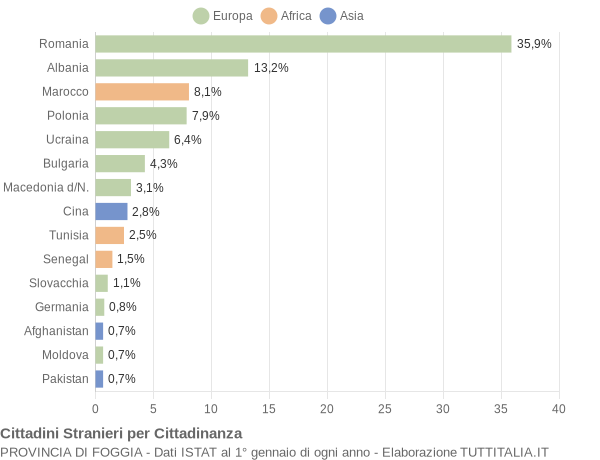 Grafico cittadinanza stranieri - 2010