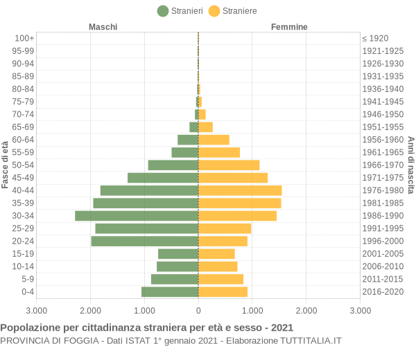 Grafico cittadini stranieri - 2021