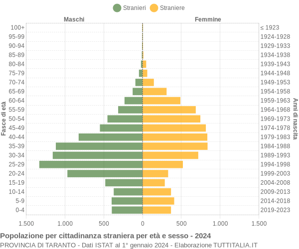 Grafico cittadini stranieri - 2024