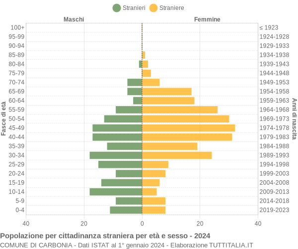 Grafico cittadini stranieri - Carbonia 2024