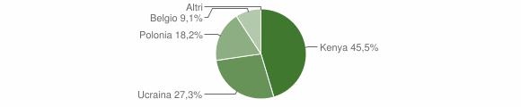 Grafico cittadinanza stranieri - Suelli 2004