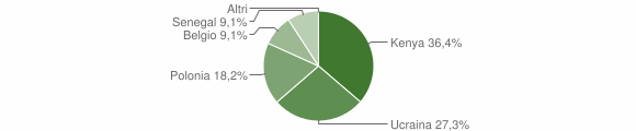 Grafico cittadinanza stranieri - Suelli 2006