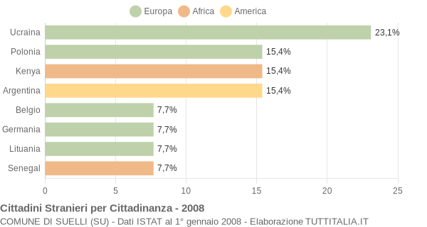 Grafico cittadinanza stranieri - Suelli 2008