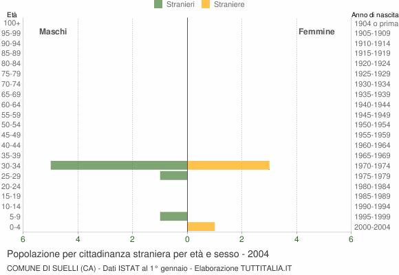 Grafico cittadini stranieri - Suelli 2004