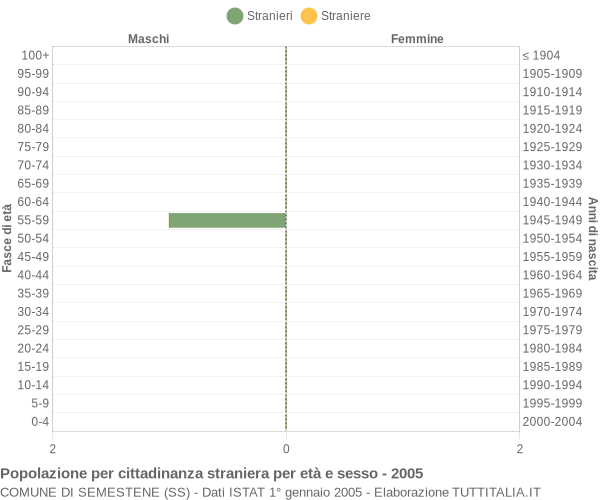 Grafico cittadini stranieri - Semestene 2005